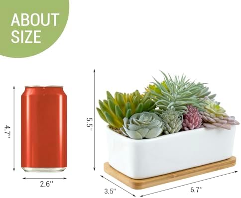 MyGift Faux Succulent Plant Arrangement, White Ceramic Pot with Bamboo Tray - Image 5