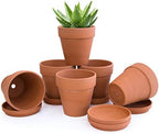 D'vine Dev 6-Pack Terracotta Plant Pots with Saucers, 5 in, 588-A-1-5 by DvineDevPlanterPotsandStand