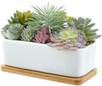 MyGift Faux Succulent Plant Arrangement, White Ceramic Pot with Bamboo Tray by MyGiftHome