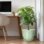 12 Inch Pots for Plants, Ceramic Plant Pots with Drainage, Green - Image 3
