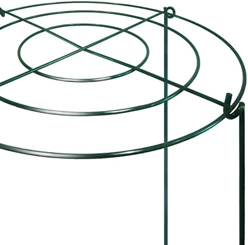 TCBWFY 8 Sets Peony Support Cage, 12" Dia x 24" High, Heavy Duty Metal Plant Support, Grow Through Hoops Grids, 4mm Legs, Green, Round - Image 3