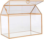 D'Eco Glass House Plant Terrarium, Centerpiece & Wedding Letterbox - Image 6