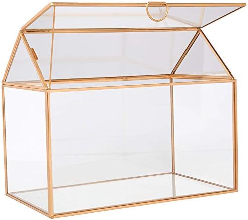D'Eco Glass House Plant Terrarium, Centerpiece & Wedding Letterbox - Image 6
