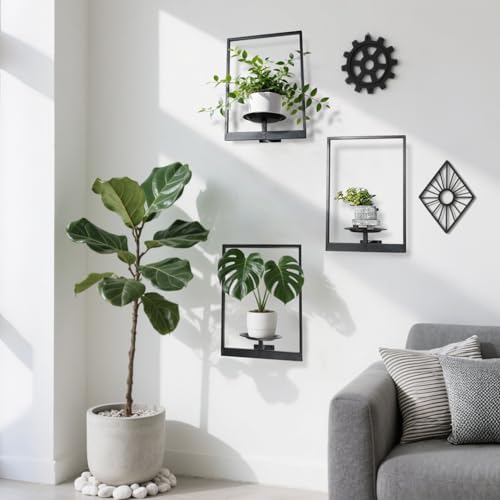 Plant Wall Shelf, Metal Modern Style Frame, Picture Wall Plant Holder, Plant Frames for Living Space Decor Display Stand for Living Room Balcony Garden Patio (3 PACK(BLACK )) - Image 7