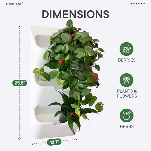 BOXSAND-6 (12"x26") Living Wall - Wall Planter, Vertical Garden for 6 Plants, Indoor/Outdoor, 2 Screws Install (White) - Image 2