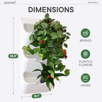 BOXSAND-6 (12"x26") Living Wall - Wall Planter, Vertical Garden for 6 Plants, Indoor/Outdoor, 2 Screws Install (White) - Image 2