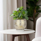 Ceramic Plant Pots for Plants Indoor 7.5 Inch Round Gold and White Flower Pot Gilded Decorative Planter with Drainage Hole and Saucer Modern Ceramic Pot for Succulents Orchids Cactus Herbs Home Decor - Image 6