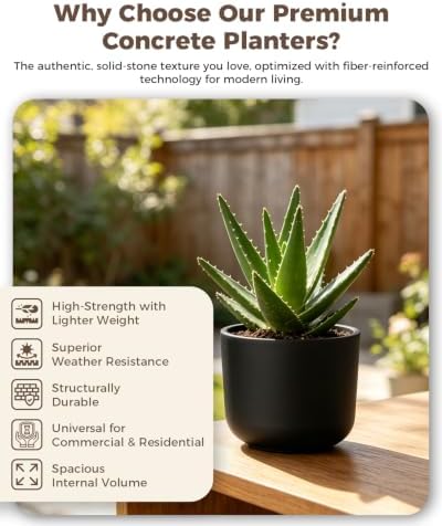 Kante Black Round Concrete Planter 11" Dia for Modern Home with Drainage - Image 3