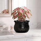 Ceramic Planter Pots, 8 Inch Plant Pot for Indoor Plants, Black - Image 5