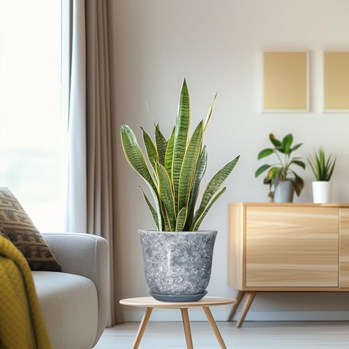 Ceramic Plant Pots, 8 Inch Plant Pot with Drainage, Grey - Image 5