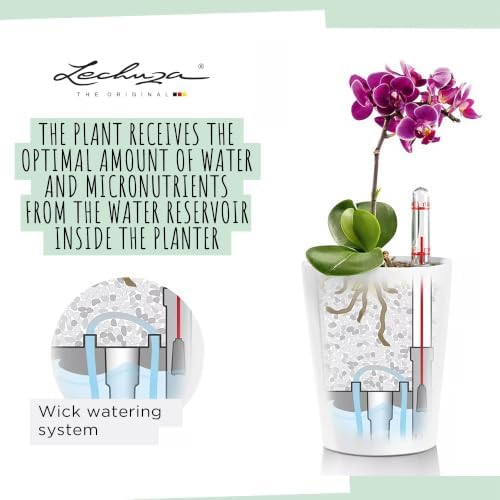 Lechuza MINI-DELTINI Shiny Taupe High Gloss, Self-Watering Small Indoor Planter, H5.1 L3.9 W3.9 in - Image 6
