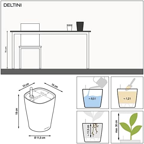 Lechuza 14903 Deltini Self-Watering Planter for Indoor and Outdoor Use, 6" x 6" x 7", Charcoal - Image 3