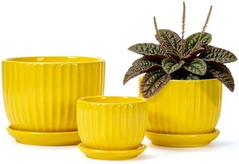 Ceramic Planters,Yellow Plant Pots with Drainage Holes and Saucers Set of 3 by TonSin