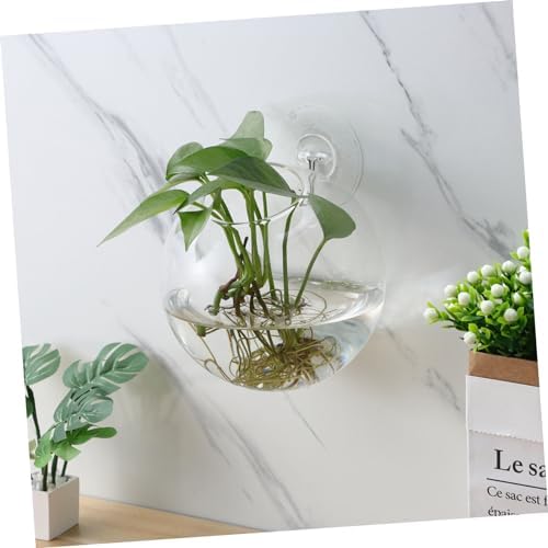 4pcs Glass Wall Planter Globe Terrarium Holder for Flowers - Image 3