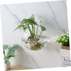 4pcs Glass Wall Planter Globe Terrarium Holder for Flowers - Image 3