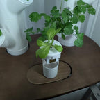 Grow Cubes for Hydroponic System/Compatible with Gardyn (10 Grow Cubes) - Image 2