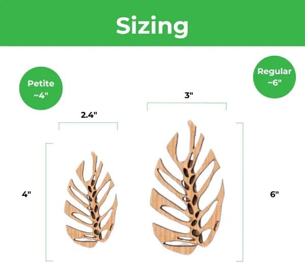 Treleaf Monstrella Wall Clips – Petite Size, Set of 5 Wooden Trellises for Indoor Climbing Plants – Self-Adhesive Plant Wall Fixtures to Create Green Walls – Perfect for Pothos & Vining Houseplants - Image 4