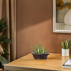 HOMSFOU Vintage Cement Tree Root Planter for Indoor Desk Greenery - Image 7