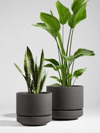LE TAUCI 12 Inch Pot for Plants with Saucer, Ceramic Indoor Planter Pot with Drainage Hole, Mesh Pad Included, Unglazed Porous Ceramic, Modern for Home and Office, Charcoal Gray - Image 2