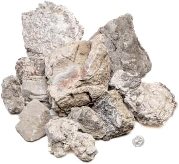 SubstrateSource Natural Aquarium Stones - Off-White Textured with Grooves Decorative Aquascaping Rocks for Betta Fish Tank, Goldfish, Cichlids, Hermit Crab & Terrariums - White Elephant Skin, 30 LB by SubstrateSource