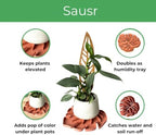Treleaf Tera Sausr™ – 6" Monstera Leaf Plant Pot Saucer & Drip Tray (Set of 4) – Decorative Humidity Tray for Indoor Houseplants – 3D Printed Eco-Friendly Design - Terracotta - Image 2