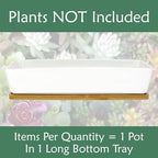 yeyo Elegant Ceramic Succulent Pots - 1 Pot - Long Rectangle - with Bamboo Tray - White - 11 for Balcony - Image 7