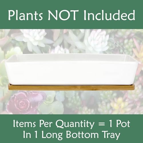 yeyo Elegant Ceramic Succulent Pots - 1 Pot - Long Rectangle - with Bamboo Tray - White - 11 for Balcony - Image 7