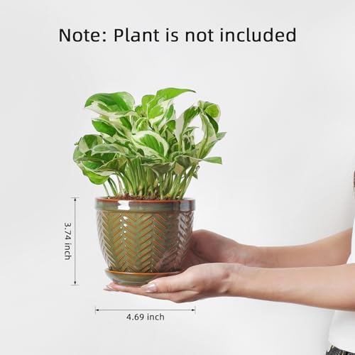 Sureasy Ceramic Plant Pots, 4.7 Inch Flower Pots for Indoor Plants, Succulent Pots with Saucer and Drainage Hole, Decorative Planter for Succulent, Cactus, Set of 4, Green - Image 4