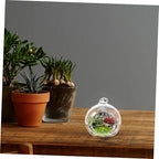 12pcs Glass Globe Terrarium Hanging Xmas Plant Holder for Household - Image 7