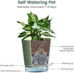Meowell Self Watering Pots Set of 7 – Assorted Size 4" to 8" Indoor Plant Pots with Drainage Holes and Clear Reservoir for Visible Water Level, Plastic Wicking Planter for House Plants & Flower, Green - Image 4