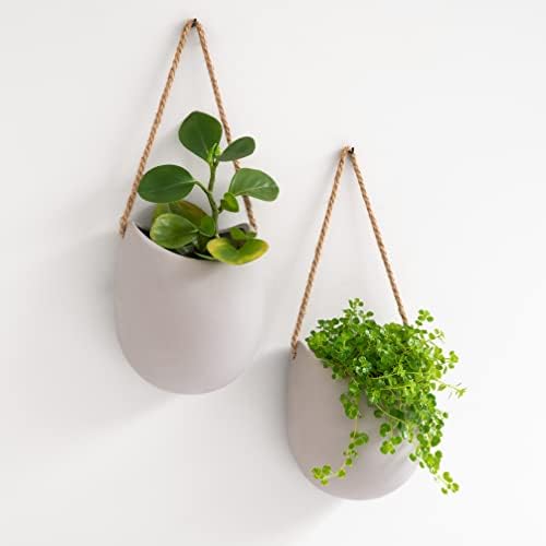 Kazai. Wall Planters -Ellie- | Hanging Ceramic Plant Pots 2 Pieces | Wall Decoration for Indoors, Balcony and Garden | Light Gray (Matte) by KAZAI
