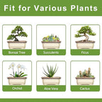 13.7 Inch Bonsai Planter - Ceramic Bonsai Tree Pots for Indoor Outdoor Plants, Succulent Pots with Drainage Hole, Large Plant Pot, Patio Decor, Gifts for Gardeners, Rectangular Beige-Brown - Image 6