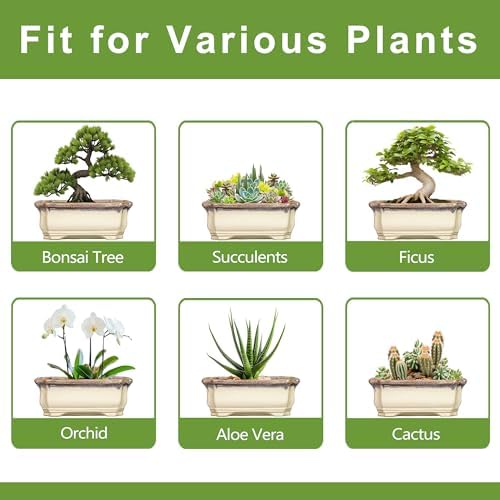 13.7 Inch Bonsai Planter - Ceramic Bonsai Tree Pots for Indoor Outdoor Plants, Succulent Pots with Drainage Hole, Large Plant Pot, Patio Decor, Gifts for Gardeners, Rectangular Beige-Brown - Image 6