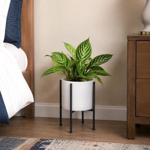 D'vine Dev Plastic Planter Pot with Metal Stand, White, 8 in, 55-D-A-1 - Image 6
