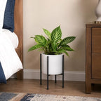 D'vine Dev Plastic Planter Pot with Metal Stand, White, 8 in, 55-D-A-1 - Image 6