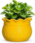 Ceramic Plant Pots, 6 Inch Indoor Planter with Drainage, Yellow by Fivepot