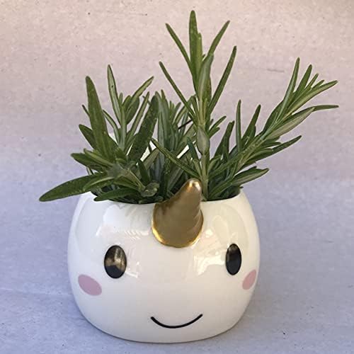 Planter for Succulent Plant Ceramic Plant Pots Indoor, Novelty Planters for Home Office Garden (Wale w Gold Horn, 2) - Image 2