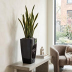 21" Tall Square Planters 2 Pack, Resin Pots Indoor Outdoor, Black - Image 5