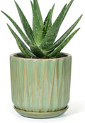 7.5 Inch Ceramic Planter Pot with Saucer Drainage Leak-Proof Mesh,Flower Pots for Indoor Plants with Gardening Gloves,Ceramic Planter(Light Green) by Unknown