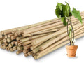 50Pcs / 3ft Bamboo Plant Stakes for Indoor Outdoor Plants, Garden Plant Support Sticks, Poles for Tomato Vegetables Beans Trees Potted Climbing Plants(0.32''-0.4'') by Avalution