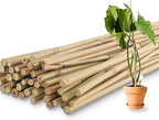 50Pcs / 3ft Bamboo Plant Stakes for Indoor Outdoor Plants, Garden Plant Support Sticks, Poles for Tomato Vegetables Beans Trees Potted Climbing Plants(0.32''-0.4'') by Avalution