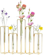 Gold Metal Propagation Vases for Plants, Five Linked Glass Test Tube Planter with Bendable Frame, Small Decorative Hydroponic Home Decor, Desk and Windowsill Display for Cuttings, Herbs, and Flowers by Unknown