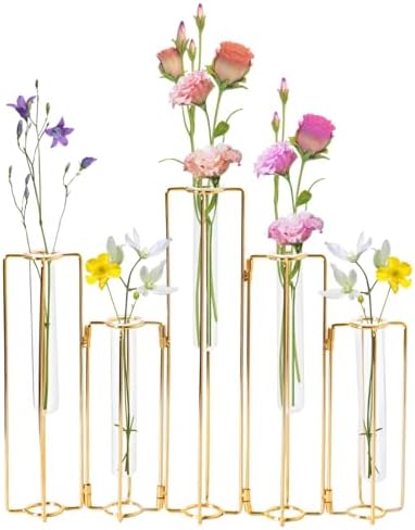 Gold Metal Propagation Vases for Plants, Five Linked Glass Test Tube Planter with Bendable Frame, Small Decorative Hydroponic Home Decor, Desk and Windowsill Display for Cuttings, Herbs, and Flowers by Unknown