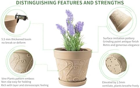 Melphoe Plant Pots Indoor with Drainage & Saucer, 2Pack 10 inch Flower Pots Outdoor Planters for Indoor Plants Garden Home Decor Cactus Succulent, Rigid Plastic (Imitation-Terracotta) Vine-Embossed - Image 5