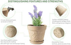 Melphoe Plant Pots Indoor with Drainage & Saucer, 2Pack 10 inch Flower Pots Outdoor Planters for Indoor Plants Garden Home Decor Cactus Succulent, Rigid Plastic (Imitation-Terracotta) Vine-Embossed - Image 5