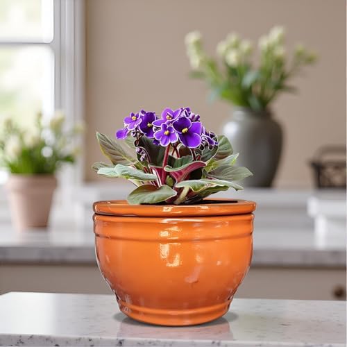 African Violet Pots Self Watering Orange 6 inch - Image 7