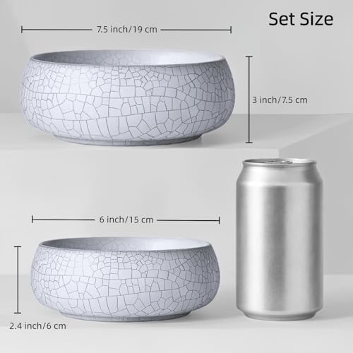 Lotus Bowl Planter 2 Pack, 7.5in & 6.5in, Shallow Vase - Image 2