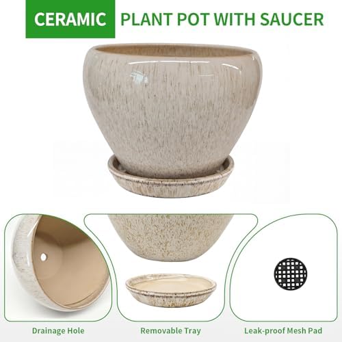Deep Dream 8 Inch Plant Pots- Ceramic Pots for Plants with Drainage Hole and Saucer, Large Planter Pot for Indoor Plants Outdoor Decor, Beige - Image 6