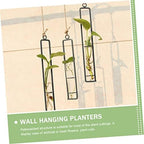 Kisangel Xmas 3pcs Glass Propagation Tubes Wall Hanging Iron Vase - Image 6