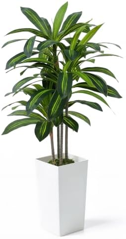 CAPHAUS 5FT Artificial Dracaena Tree 60 Inch – Tall Fake Floor Plant in White Planter with Moss for Living Room Office Home Decor – Low Maintenance Large Indoor Faux Tree by CAPHAUS